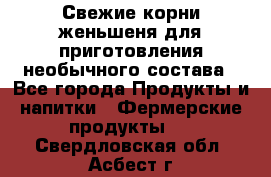 Свежие корни женьшеня для приготовления необычного состава - Все города Продукты и напитки » Фермерские продукты   . Свердловская обл.,Асбест г.